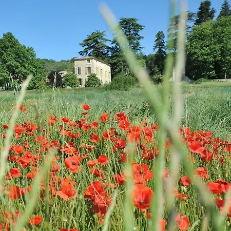 Гостевой дом La Bastide De L'adrech